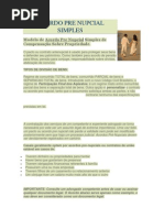 ####Acordo Pre Nupcial Simples