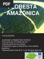 Floresta Amazonica Ppt