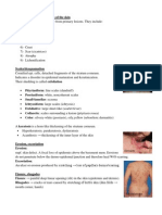 Secondary Skin Lesions Guide