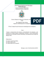 protocolo.pdf