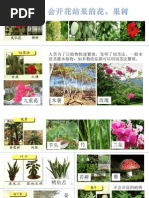 植物的繁殖