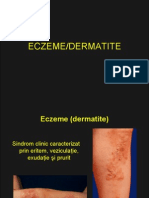 47824504 Curs Eczeme Dermatite