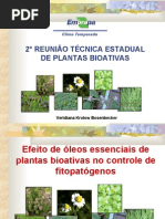 Efeito de Oleos Essenciais Veridiana Krolow Bosenbecker