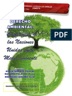 Conferencia de La Onu Sobre Medio Ambiente-Uladech Dderecho Piura-Eduardo Ayala Tandazo