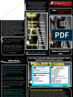 Triptico de Iter Criminis-Eduardo Ayala Tandazo