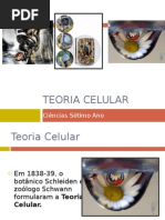 Teoria Celular