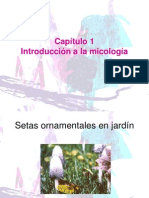 117075528-MICOLOGIA