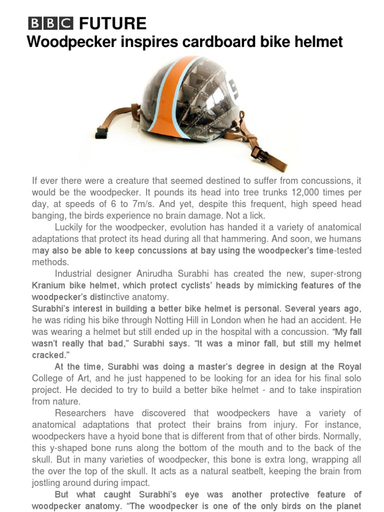 Future Woodpecker Inspires Cardboard Bike Helmet PDF Concussion