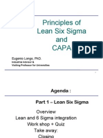 Principles of Lean Six Sigma and CAPA