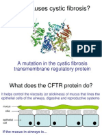 What Causes Cystic Fibrosis1