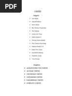 Download Cortex by Rahmat Rizaldi SN135670094 doc pdf