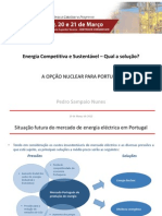 Pedro Sampaio Nunes-A Opção Nuclear para Portugal