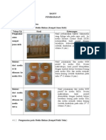HASIL PENGAMATAN BAKTERI