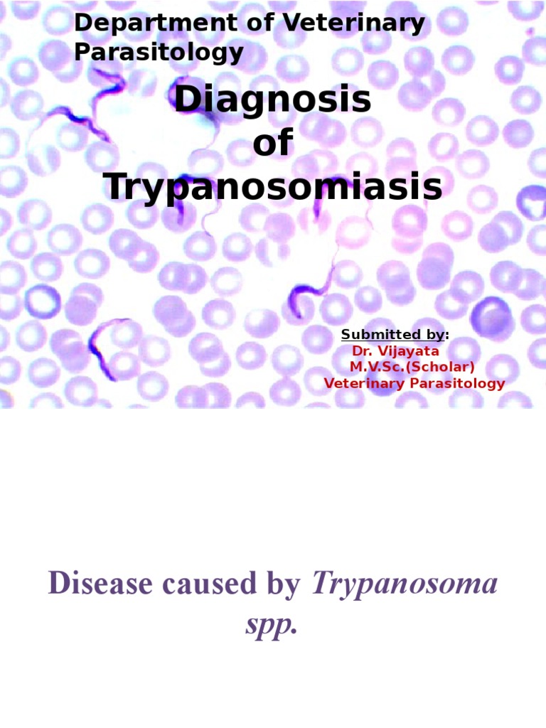 Diagnosis of Trypanosomiasis Elisa Polymerase Chain Reaction