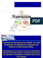 Clase 812 Nutricion PDF