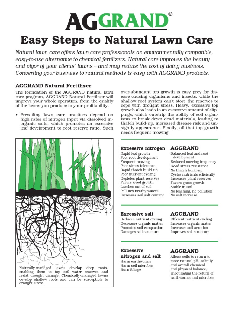 Healthy Lawn Full Website (Copy, 234 selected)