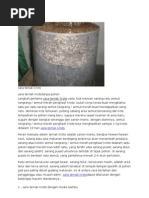 Download CaraTernakKrotobySyaoziSN135701888 doc pdf