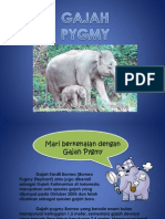 Pengenalan Gajah Pygmy