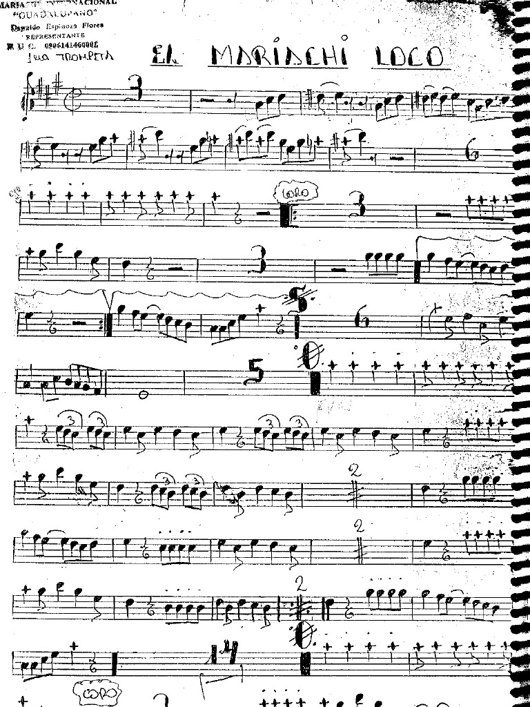 Popurri Del Mariachi Loco 1
