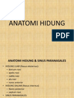 Anatomi Hidung