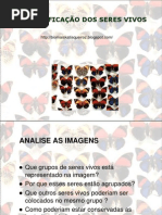 aclassificacaodosseresvivos-100306030743-phpapp01