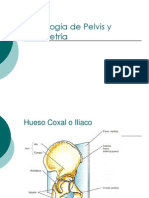 Osteología de Pelvis y Pelvimetría