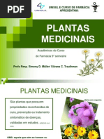 Plantas_medicinais