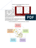 Funcionamiento del corazón: ciclo cardíaco, presiones y volúmenes