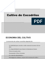 Cultivo Cocodrilos