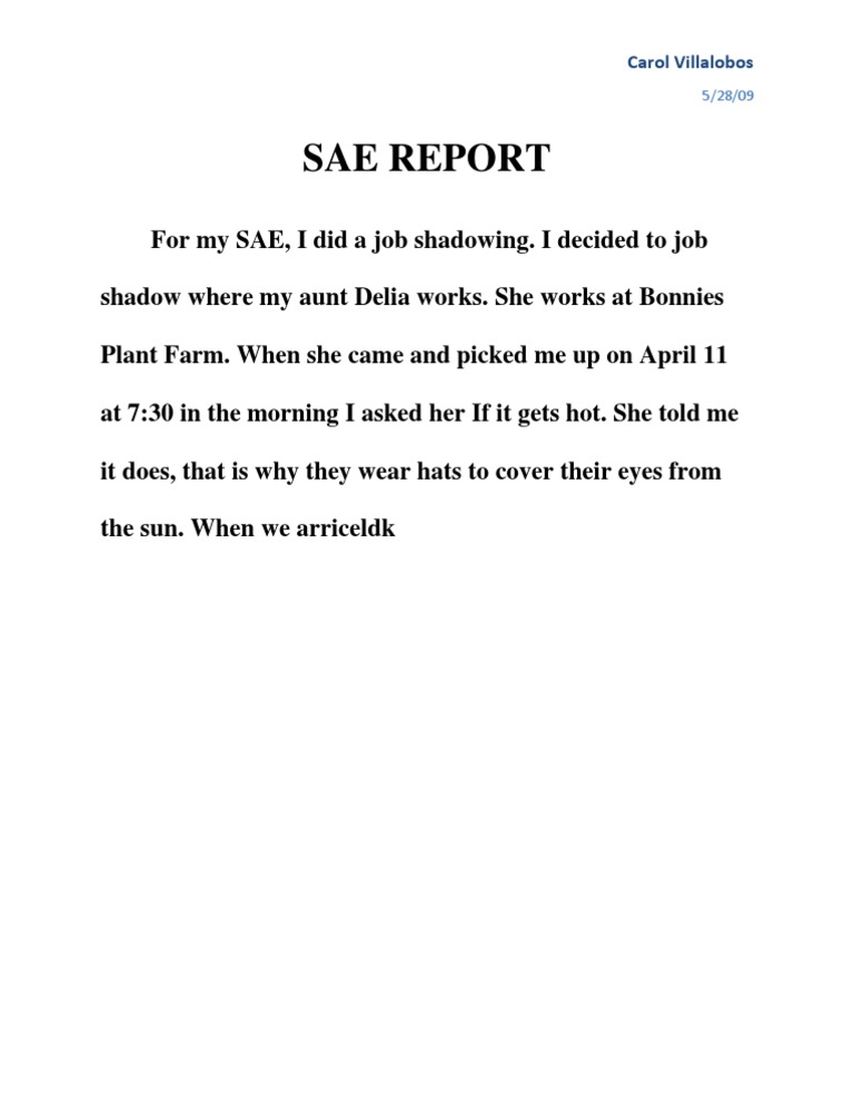 Sae Report | PDF