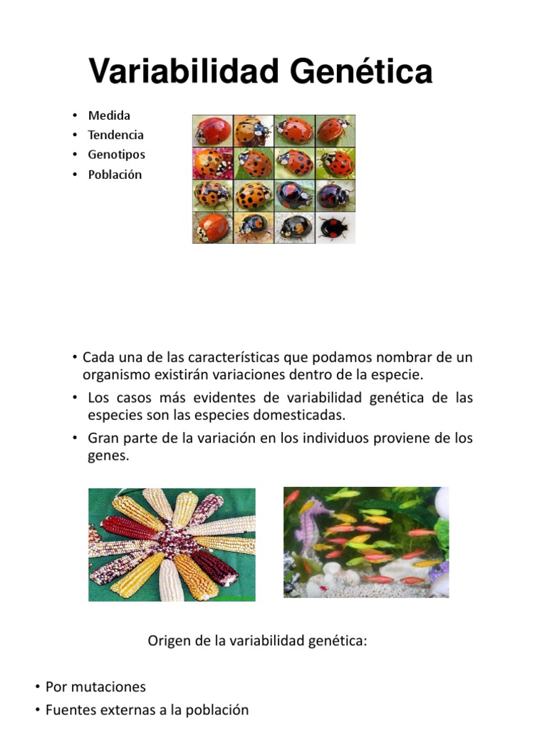 Orígenes y Ejemplos de Variabilidad Genética | PDF