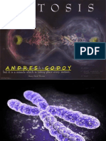 3 Mitosis y Meiosis