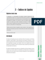 Índices de Liquidez PDF