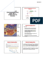 Sistema Endomembranas 25032013