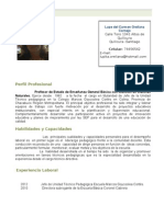 Curriculum Vitae 2012