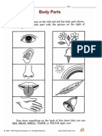 worksheet body parts