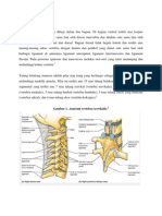 Anatomi Vertebra