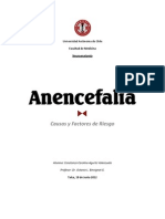 Anencefalia Trabajo Fin