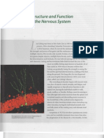 Chapter 2_ Structure and Function of the Nervous System