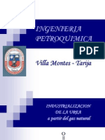 Ingenieria Petroquimica Urea