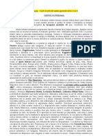 Critica Literara (PDF)