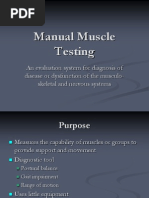 Download Manual Muscle Testing ppt by Imran Ghafoor SN135810417 doc pdf