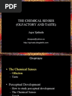 ChemicalSenses.ppt