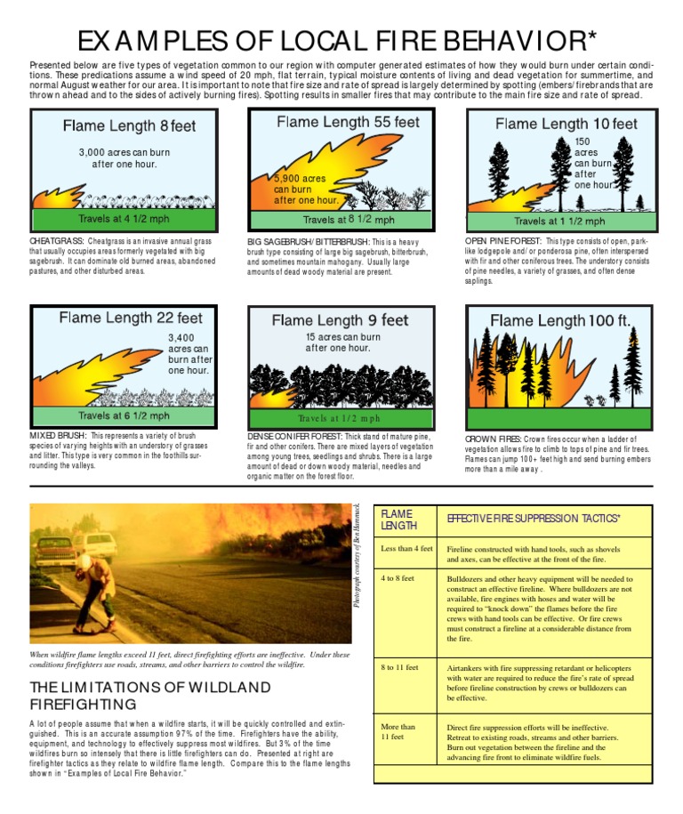 Examples Of Local Fire Behavior The Limitations Of Wildland