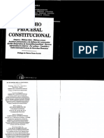 Derecho Procesal Constitucional - Pablo Luis Manili