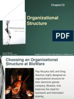 Organizational Behavior Chapter 13