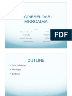 Biodiesel Dari Mikroalga