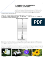 FIBONACCI NUMBERS, THE GOLDEN RATIO
& THE PHYSICAL UNIVERSE