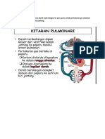 Tugasan 1 Kitaran Pulmonari