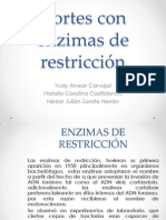 Cortes Con Enzimas de Restricción Biologia